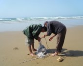 Pecheur à essaouira 198.jpg