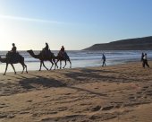 balade sur la plage.jpg