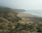 paysage.jpg