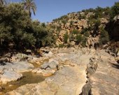 assif-dans-les-gorges.jpg
