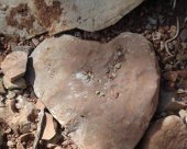 Coeur du Paradis.JPG
