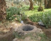 Le puit Oasis de TAzzarine
