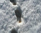 Traces-haut-atlas-central.jpg