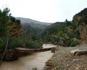 Anergui VTT.jpg
