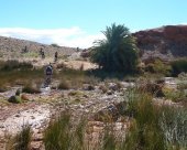 VTT oasis Maroc.JPG