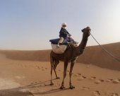 le-roi-du-desert.jpg