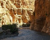gorges-1.jpg