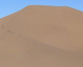 sahel.jpg