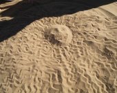 soleil-du-desert.jpg