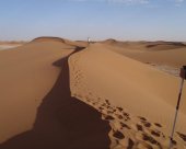 dans-les-dunes.jpg