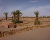 pare-sable.jpg