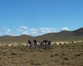 VTT-Maroc-transhumance.jpg