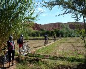 VTT-Maroc-oasis.jpg