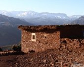 bergeries-ahbak.jpg
