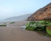 plage-au-petit-matin.jpg
