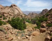 Merveilles-de-Tafraoute.jpg