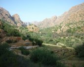 Oasis-de-Lekst.jpg
