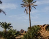 Oasis-de-Tafraoute.jpg