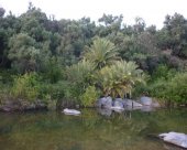 Oued-de-Lekst.jpg