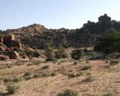 tafraoute-4.jpg