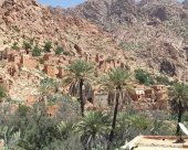tafraoute-6.jpg