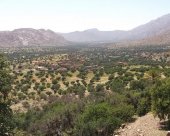 tafraoute-8.jpg