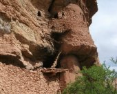 les-maisons-troglodytes.jpg