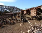 bergeries-ait-bou-oulli.jpg