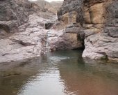 piscine-naturelle.jpg