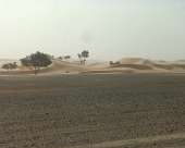 desert-de-Merzouga-Taouz-Rheris.jpg
