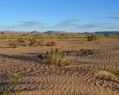 entre-dune-et-montagnes.jpg