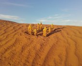 Cistanche-deserticola.jpg