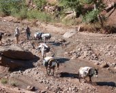 acheminement a dos de mule materiel bouguemez.JPG