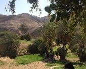 sentier-oasis-palestine.jpg