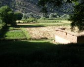 DSCF0077.jpg