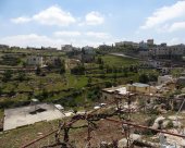 paysage-de-Palestine.jpg