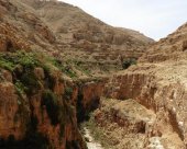 Canyon-st-georges.jpg