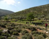 en-marche-en-Palestine.jpg