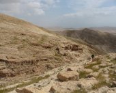 gorges-dans-le-desert.jpg