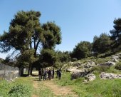 Poumons-verts-de-la-Palestine.jpg