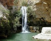 site-de-Ein-Gedi-en-Palestine.jpg