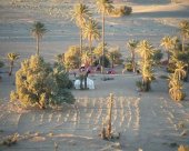 Bivouac dans l'oasis