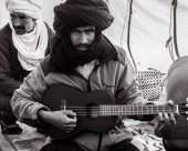chamelier désert marocain.jpg