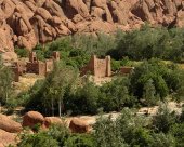 la-vallée-des-roses-et-du-dades 1.jpg