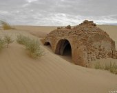 vestige-du-desert-Tunisien.jpg