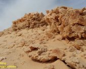 champs-de-roses-des-sables.jpg