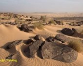 quelque-part-dans-le-desert-tunisien.jpg