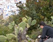 chaouen-mars-2018-505.jpg