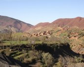MAROC