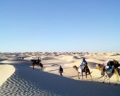 Meharee-Tunisie.jpg